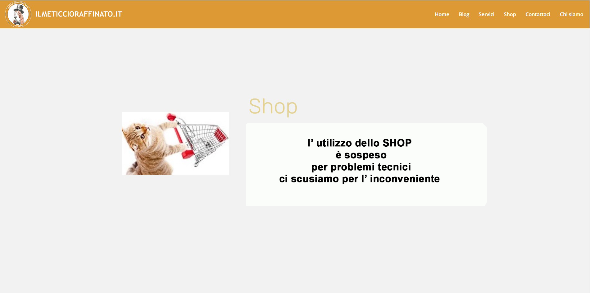 SHOP